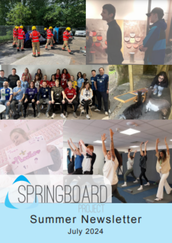 Springboard Project Summer Newsletter - July 2024