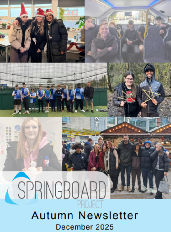 Springboard Project Newsletter - December 2025